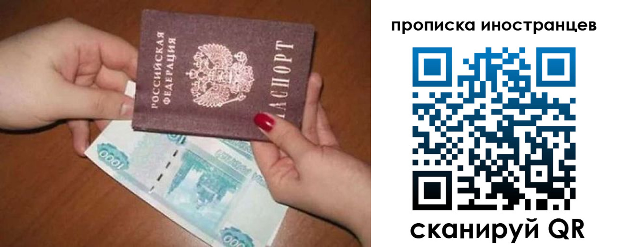найти адрес прописки в Гатчине